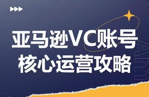亚马逊VC账号核心玩法解析，实战经验拆解产品模块运营技巧，提升店铺GMV，有效提升运营利润-一起网创