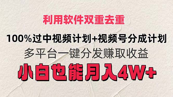 （11862期）利用软件双重去重，100%过中视频+视频号分成计划小白也可以月入4W+-一起网创