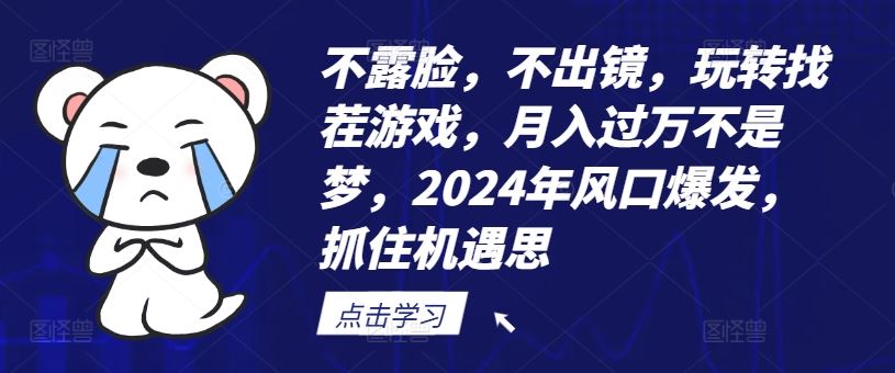 不露脸，不出镜，玩转找茬游戏，月入过万不是梦，2024年风口爆发，抓住机遇【揭秘】-一起网创