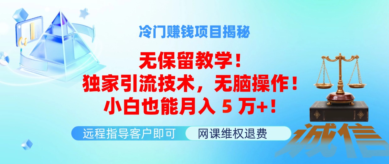 （11864期）冷门赚钱项目无保留教学！独家引流技术，无脑操作！小白也能月入5万+！-一起网创
