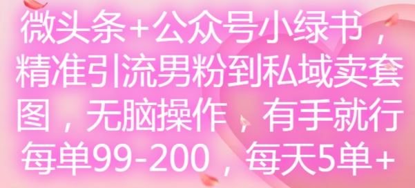 微头条+公众号小绿书，精准引流男粉到私域卖套图，无脑操作，有手就行，每单99-200，每天5单-一起网创