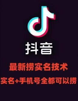 最新技术抖音捞实名+捞手机号技术，抖音直播封禁释放十名/手机号，直接替换出来!-一起网创