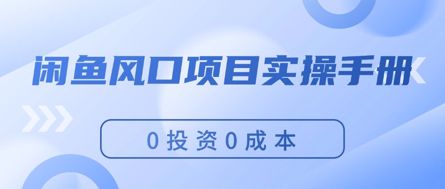 （11923期）闲鱼风口项目实操手册，0投资0成本，让你做到，月入过万，新手可做-一起网创