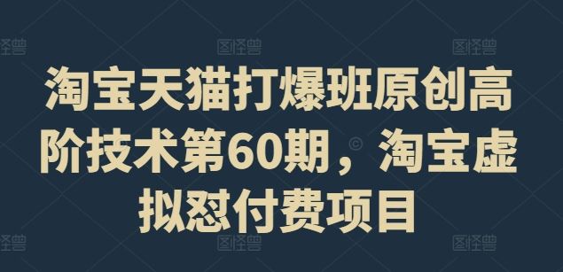 淘宝天猫打爆班原创高阶技术第60期，淘宝虚拟怼付费项目-一起网创