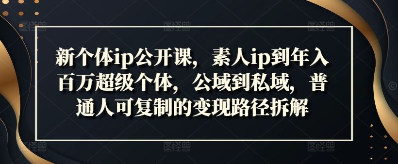 新个体ip公开课，素人ip到年入百万超级个体，公域到私域，普通人可复制的变现路径拆解-一起网创