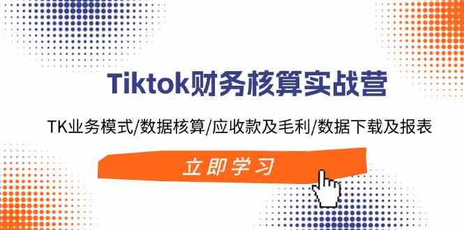 Tiktok财务核算实战营：TK业务模式/数据核算/应收款及毛利/数据下载及报表-一起网创