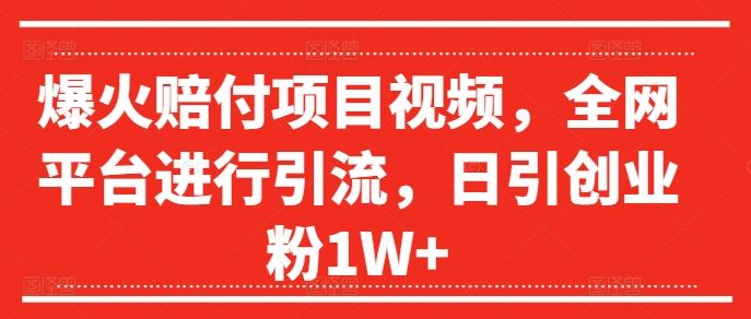 爆火赔付项目视频，全网平台进行引流，日引创业粉1W+【揭秘】-一起网创