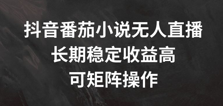 抖音番茄小说无人直播，长期稳定收益高，可矩阵操作【揭秘】-一起网创