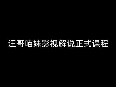 汪哥影视解说正式课程：剪映/PR教学/视解说剪辑5大黄金法则/全流程剪辑7把利器等等-一起网创
