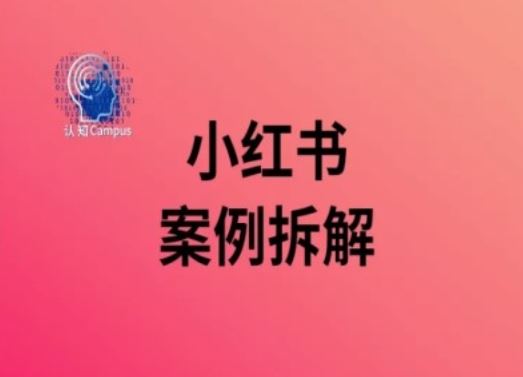 小红书案例拆解，深度解读小红书40万粉-一起网创