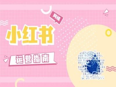 小红书运营指南，没有套路，全是经验-一起网创