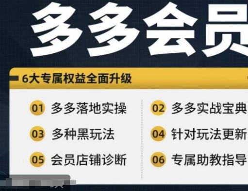 拼多多会员，拼多多实战宝典+实战落地实操，从新手到高阶内容全面覆盖-一起网创