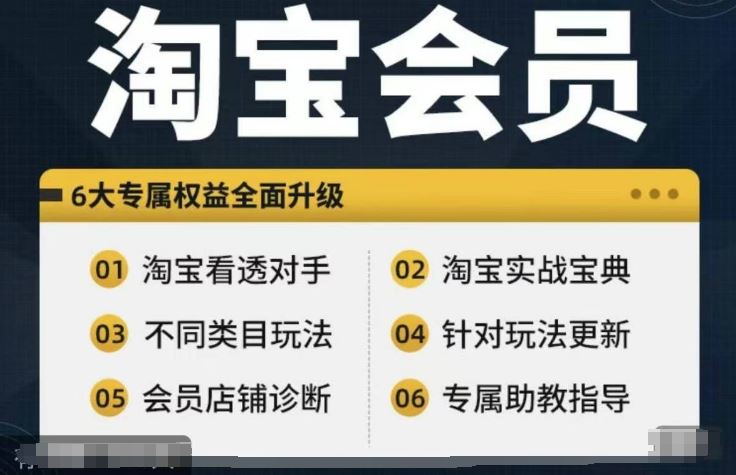淘宝会员【淘宝所有课程，全面分析对手】，初级到高手全系实战宝典-一起网创