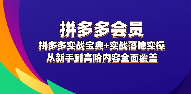 （12056期）拼多多 会员，拼多多实战宝典+实战落地实操，从新手到高阶内容全面覆盖-一起网创