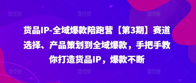 货品IP全域爆款陪跑营【第3期】赛道选择、产品策划到全域爆款，手把手教你打造货品IP，爆款不断-一起网创