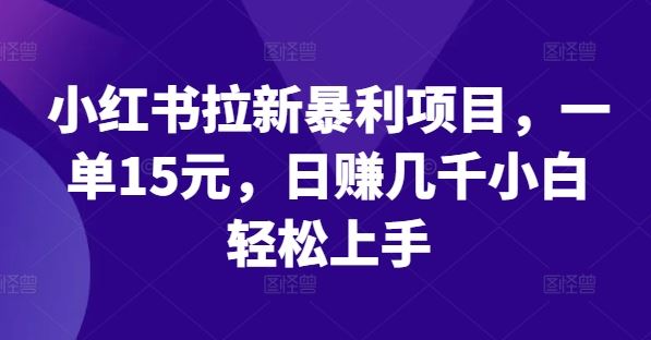 小红书拉新暴利项目，一单15元，日赚几千小白轻松上手【揭秘】-一起网创