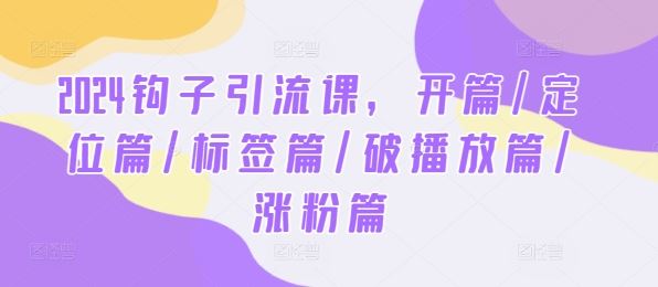 2024钩子引流课，开篇/定位篇/标签篇/破播放篇/涨粉篇-一起网创
