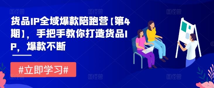 货品IP全域爆款陪跑营【第4期】，手把手教你打造货品IP，爆款不断-一起网创