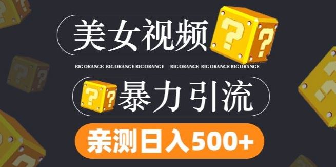 搬运tk美女视频全网分发，日引s粉300+，轻松变现，不限流量不封号【揭秘】-一起网创