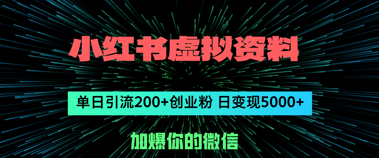 （12164期）小红书虚拟资料日引流200+创业粉，单日变现5000+-一起网创