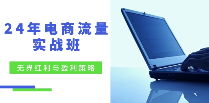（12168期）24年电商流量实战班：无界 红利与盈利策略，终极提升/关键词优化/精准…-一起网创