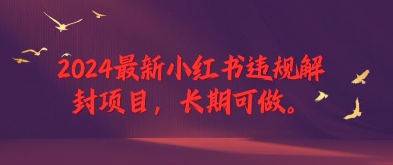 2024最新小红书违规解封项目，长期可做，一个可以做到退休的项目【揭秘】-一起网创