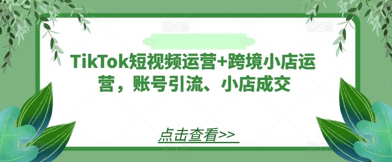 TikTok短视频运营+跨境小店运营，账号引流、小店成交-一起网创