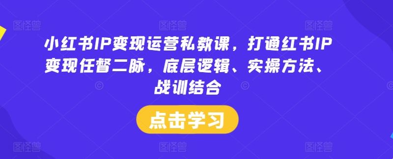 小红书IP变现运营私教课，打通红书IP变现任督二脉，底层逻辑、实操方法、战训结合-一起网创