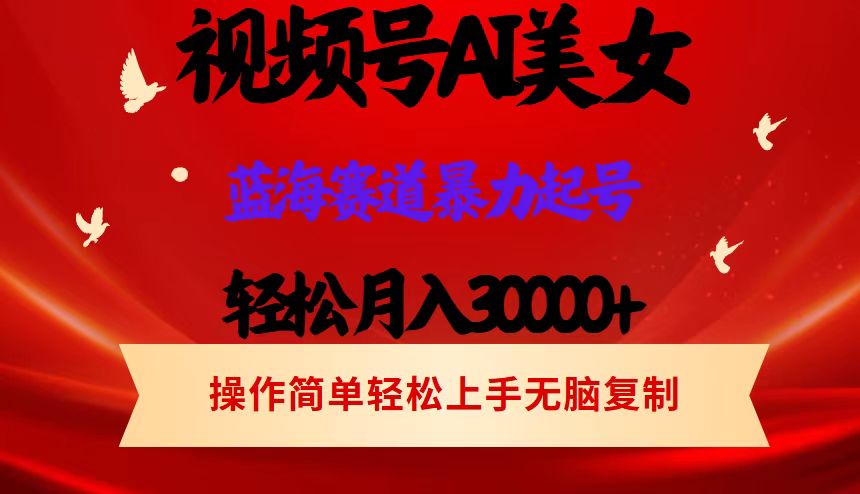 （12178期）视频号AI美女跳舞，轻松月入30000+，蓝海赛道，流量池巨大，起号猛，当…-一起网创
