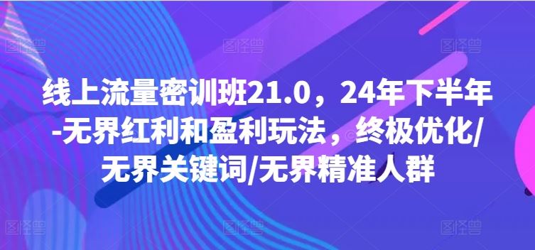 线上流量密训班21.0，24年下半年-无界红利和盈利玩法，终极优化/无界关键词/无界精准人群-一起网创