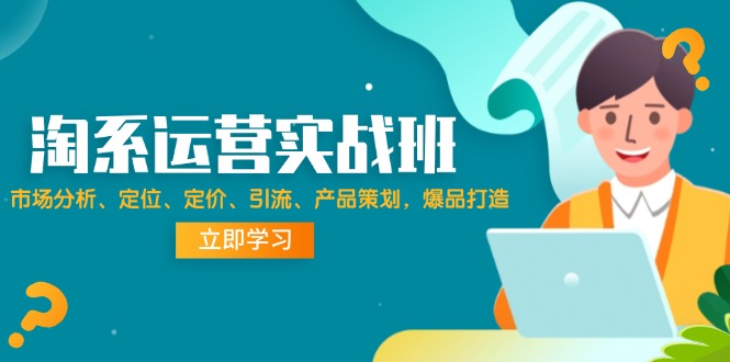 （12186期）淘系运营实战班：市场分析、定位、定价、引流、产品策划，爆品打造-一起网创