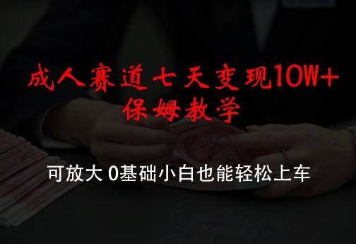 成人赛道七天变现10W+保姆教学，可放大，0基础小白也能轻松上车【揭秘】-一起网创