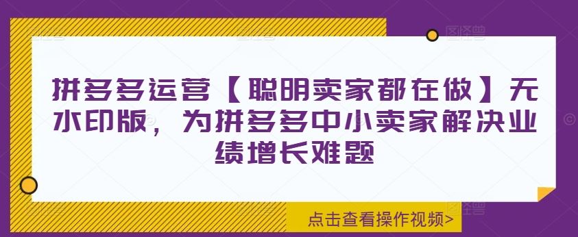 拼多多运营【聪明卖家都在做】无水印版，为拼多多中小卖家解决业绩增长难题-一起网创