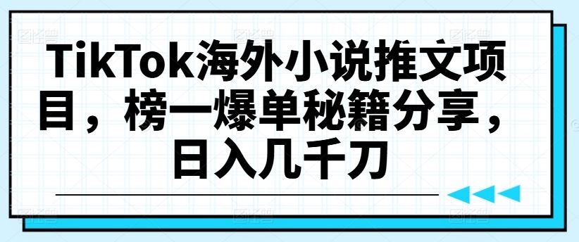 TikTok海外小说推文项目，榜一爆单秘籍分享，日入几千刀-一起网创