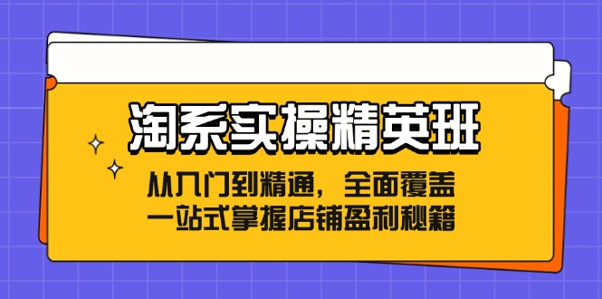 （12276期）淘系实操精英班：从入门到精通，全面覆盖，一站式掌握店铺盈利秘籍-一起网创