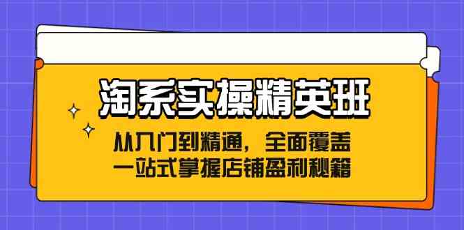 淘系实操精英班：从入门到精通，全面覆盖，一站式掌握店铺盈利秘籍-一起网创