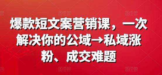 爆款短文案营销课，一次解决你的公域→私域涨粉、成交难题-一起网创