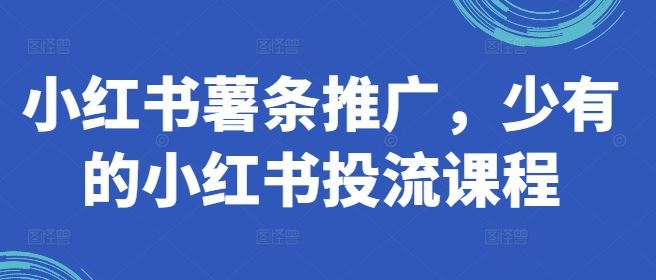 小红书薯条推广，少有的小红书投流课程-一起网创