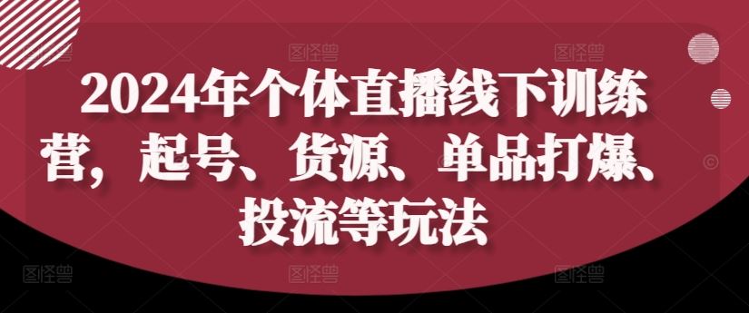 2024年个体直播训练营，起号、货源、单品打爆、投流等玩法-一起网创
