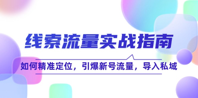 （12382期）线 索 流 量-实战指南：如何精准定位，引爆新号流量，导入私域-一起网创