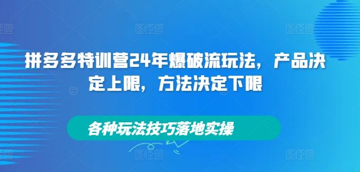 拼多多特训营24年爆破流玩法，产品决定上限，方法决定下限，各种玩法技巧落地实操-一起网创