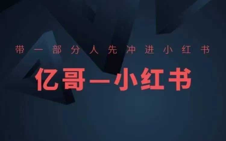​​带一部分人先冲进小红书，小红书开店、选品、爆款裂变-一起网创