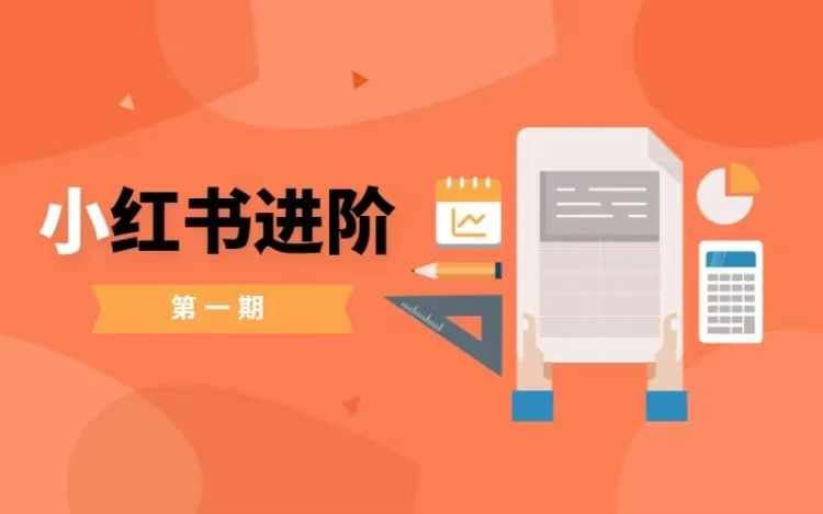 小红书进阶篇，零基础小白实战课，普通人变现的课程-一起网创