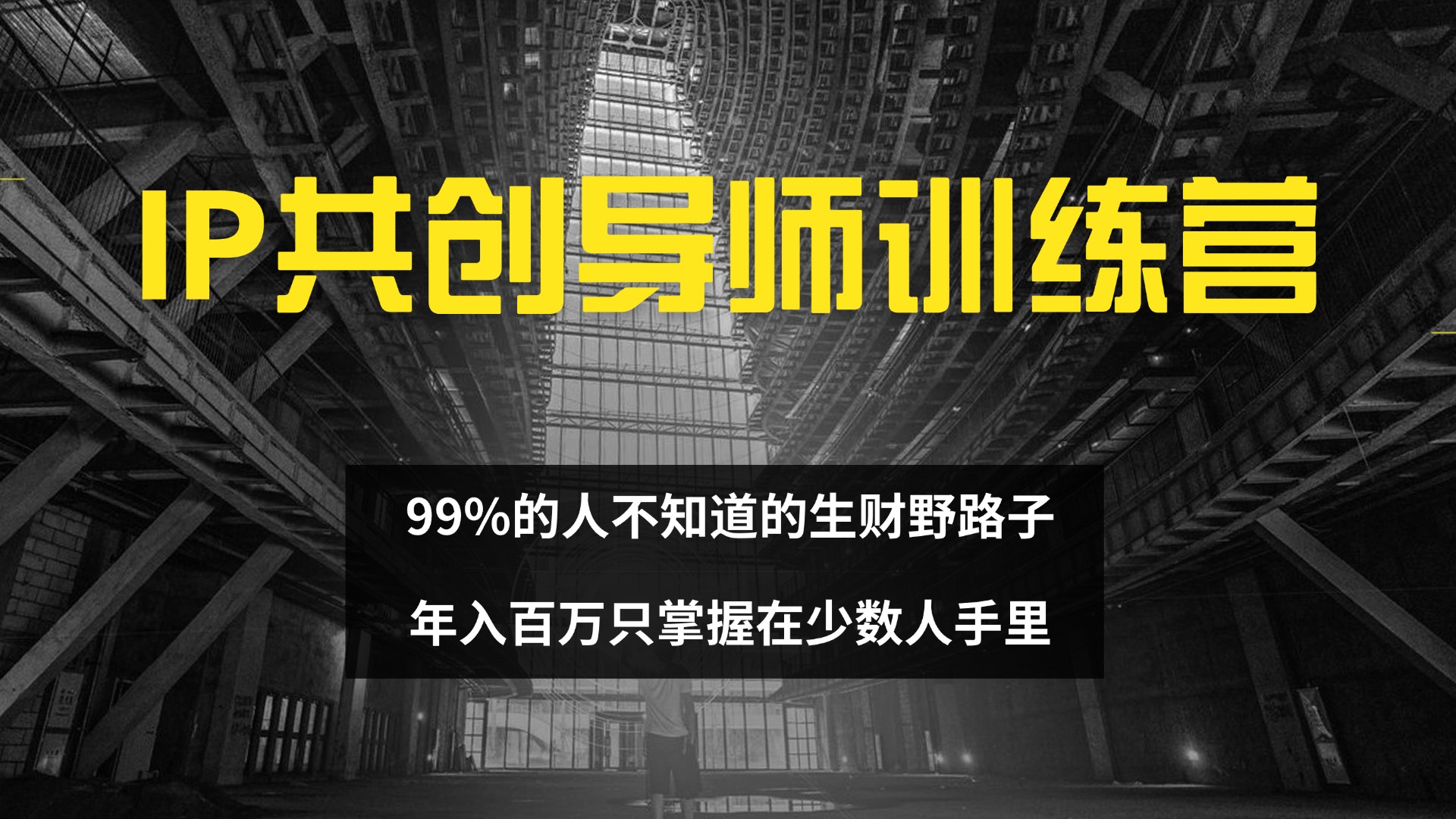 （12504期）IP共创导师训练营 99%的人不知道的生财野路子 只掌握在少数人手里-一起网创