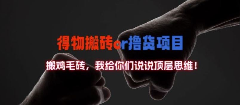 得物搬砖撸货项目?掰下数据，我给你们说说顶层思维【揭秘】-一起网创