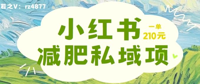小红书减肥粉，私域变现项目，一单就达210元，小白也能轻松上手【揭秘】-一起网创