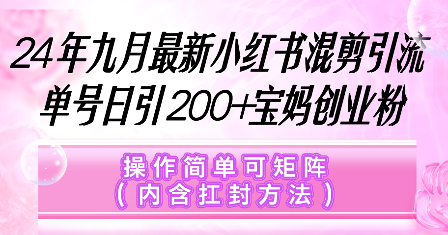（12530期）小红书混剪引流，单号日引200+宝妈创业粉，操作简单可矩阵（内含扛封…-一起网创