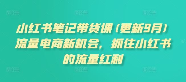 小红书笔记带货课(更新9月)流量电商新机会，抓住小红书的流量红利-一起网创