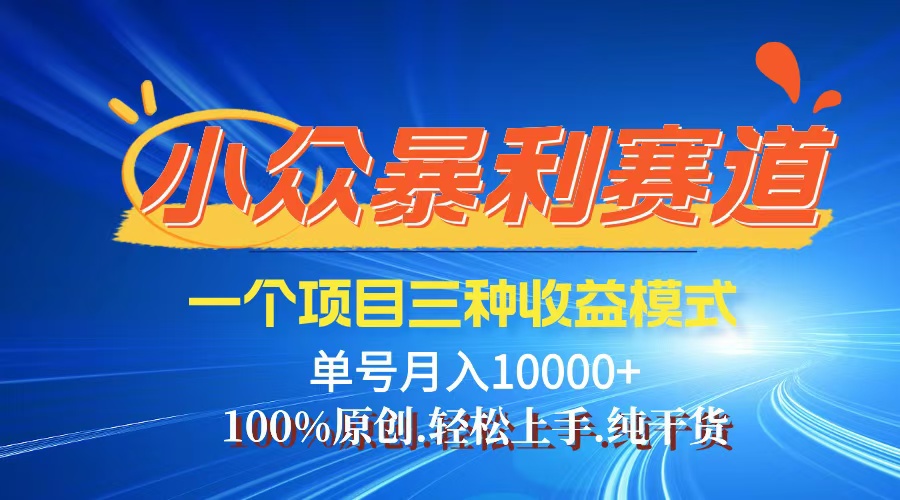 （12579期）【老人言】-视频号爆火赛道，三种变现方式，0粉新号调调爆款-一起网创