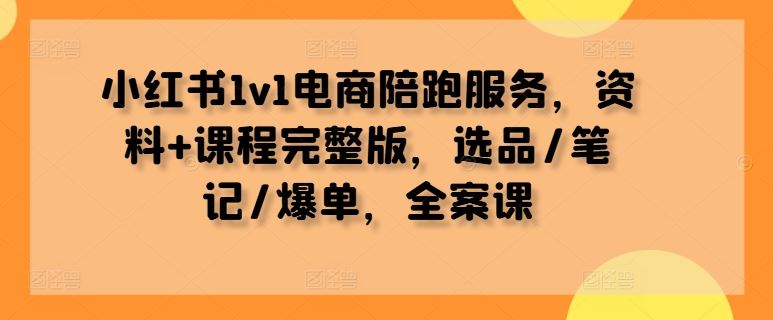 小红书1v1电商陪跑服务，资料+课程完整版，选品/笔记/爆单，全案课-一起网创
